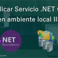 Publicar API Rest .NET Core en IIS Local